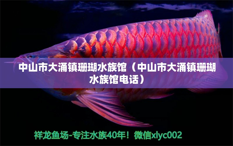 中山市大涌镇珊瑚水族馆（中山市大涌镇珊瑚水族馆电话）