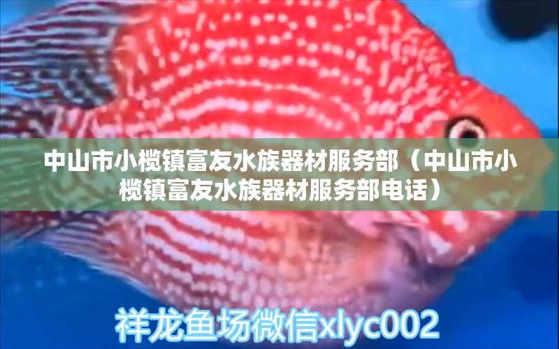 中山市小榄镇富友水族器材服务部（中山市小榄镇富友水族器材服务部电话）