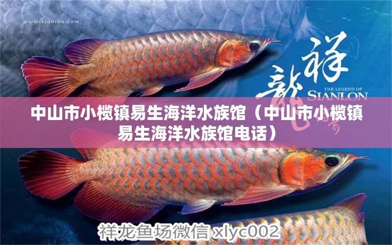 中山市小榄镇易生海洋水族馆（中山市小榄镇易生海洋水族馆电话） 全国水族馆企业名录