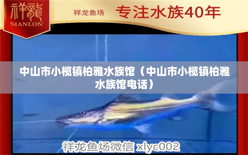 中山市小榄镇柏雅水族馆（中山市小榄镇柏雅水族馆电话）