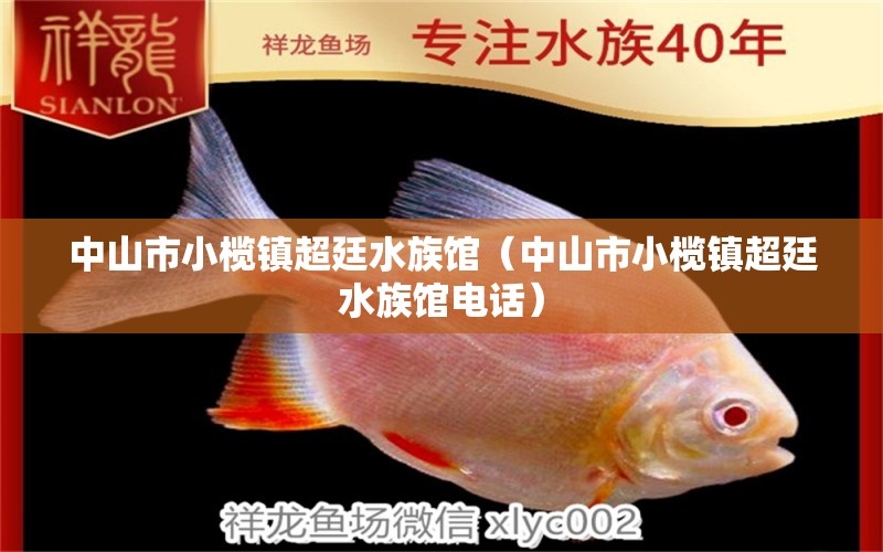 中山市小榄镇超廷水族馆（中山市小榄镇超廷水族馆电话）