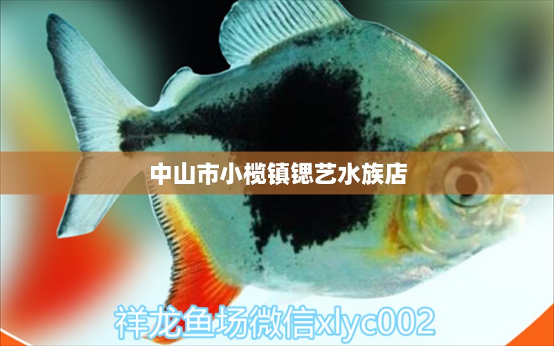 中山市小榄镇锶艺水族店