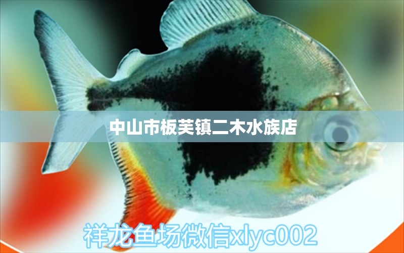 中山市板芙镇二木水族店 全国水族馆企业名录