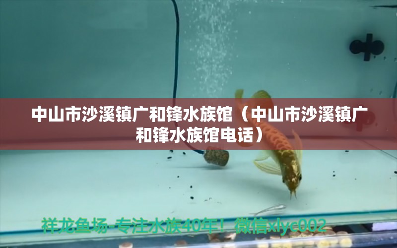 中山市沙溪镇广和锋水族馆（中山市沙溪镇广和锋水族馆电话）