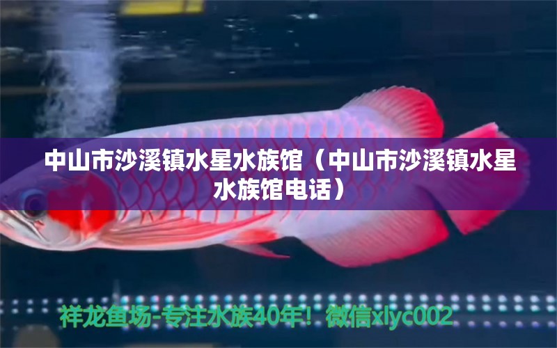 中山市沙溪镇水星水族馆（中山市沙溪镇水星水族馆电话） 全国水族馆企业名录