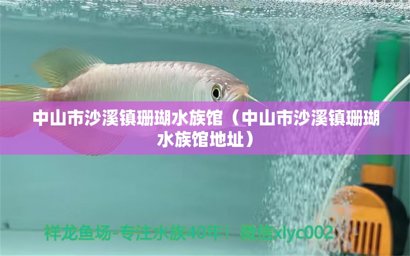 中山市沙溪镇珊瑚水族馆（中山市沙溪镇珊瑚水族馆地址）