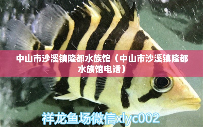 中山市沙溪镇隆都水族馆（中山市沙溪镇隆都水族馆电话） 全国水族馆企业名录