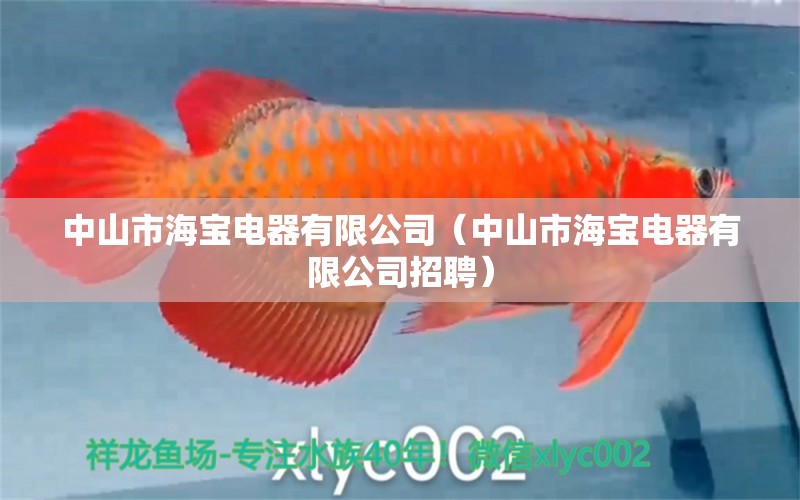 中山市海宝电器有限公司（中山市海宝电器有限公司招聘） 全国水族馆企业名录 第1张