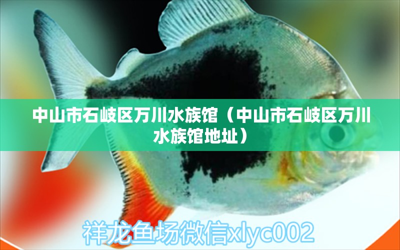 中山市石岐区万川水族馆（中山市石岐区万川水族馆地址） 全国水族馆企业名录