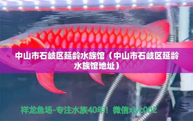 中山市石岐区延龄水族馆（中山市石岐区延龄水族馆地址）