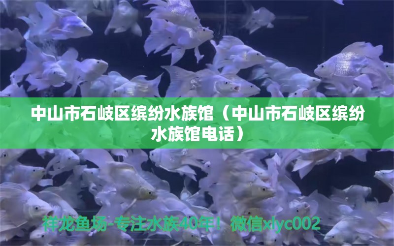 中山市石岐区缤纷水族馆（中山市石岐区缤纷水族馆电话）