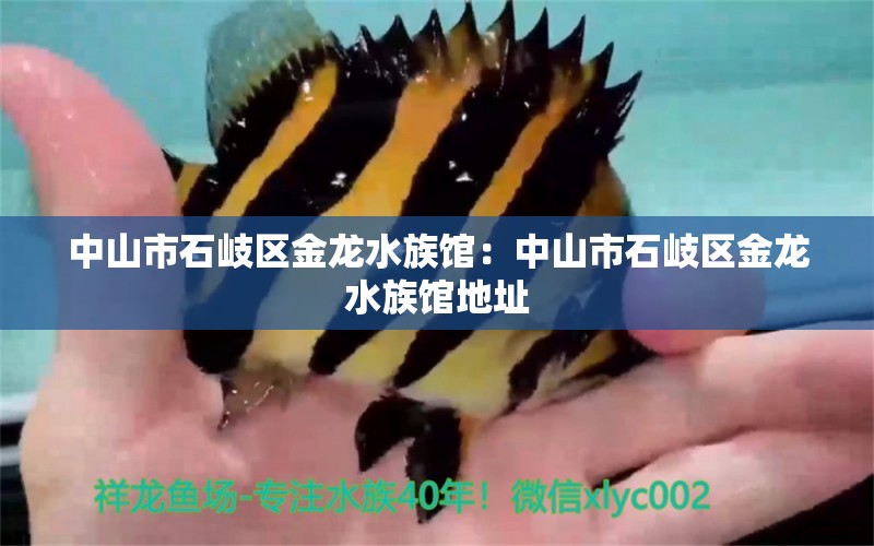 中山市石岐区金龙水族馆：中山市石岐区金龙水族馆地址 全国水族馆企业名录