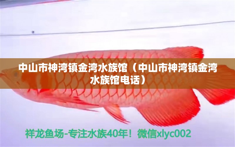 中山市神湾镇金湾水族馆（中山市神湾镇金湾水族馆电话） 全国水族馆企业名录