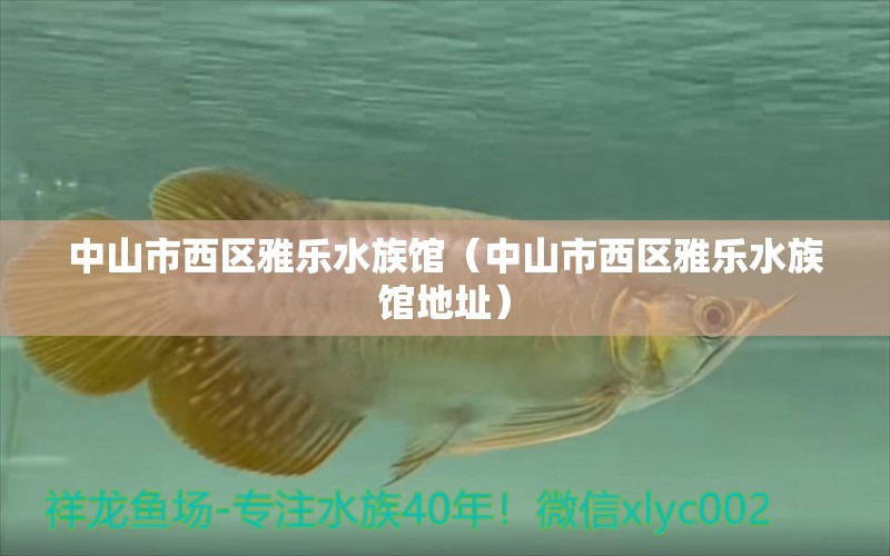 中山市西区雅乐水族馆（中山市西区雅乐水族馆地址）