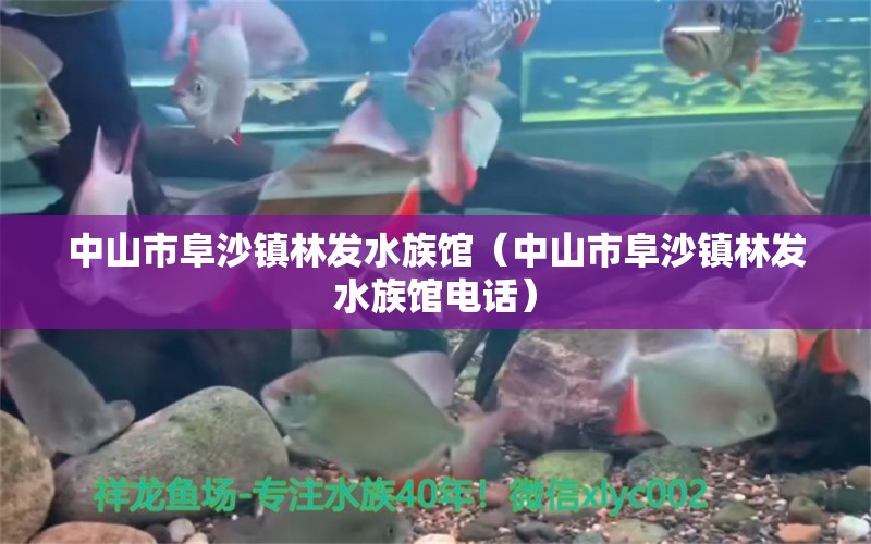 中山市阜沙镇林发水族馆（中山市阜沙镇林发水族馆电话） 全国水族馆企业名录