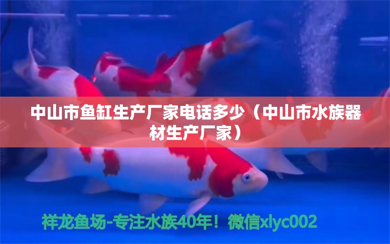 中山市鱼缸生产厂家电话多少（中山市水族器材生产厂家）