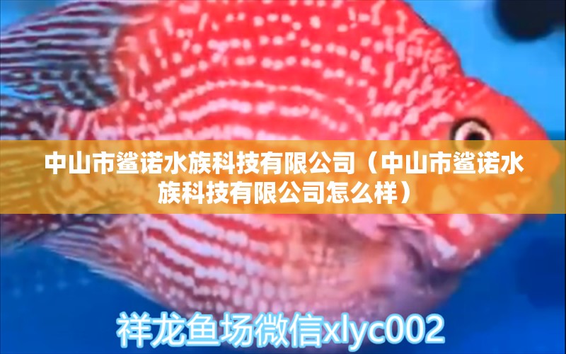 中山市鲨诺水族科技有限公司（中山市鲨诺水族科技有限公司怎么样） 全国水族馆企业名录