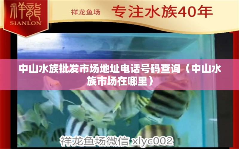 中山水族批发市场地址电话号码查询（中山水族市场在哪里）