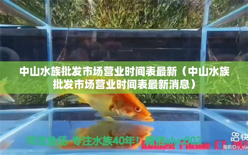 中山水族批发市场营业时间表最新（中山水族批发市场营业时间表最新消息）