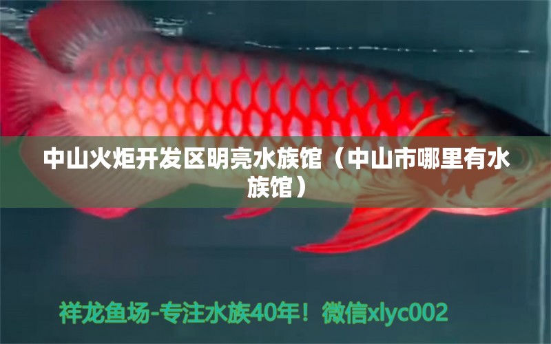 中山火炬开发区明亮水族馆（中山市哪里有水族馆） 全国水族馆企业名录