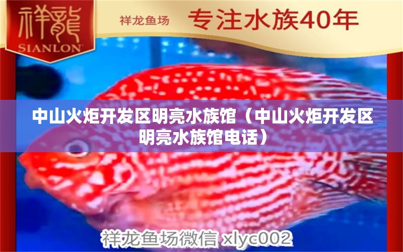 中山火炬开发区明亮水族馆（中山火炬开发区明亮水族馆电话） 全国水族馆企业名录