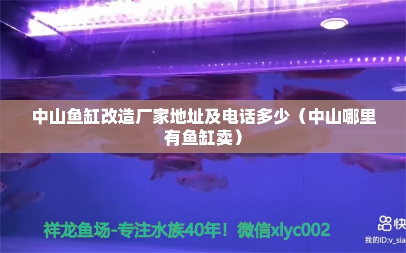 中山鱼缸改造厂家地址及电话多少（中山哪里有鱼缸卖） 委内瑞拉奥里诺三间鱼