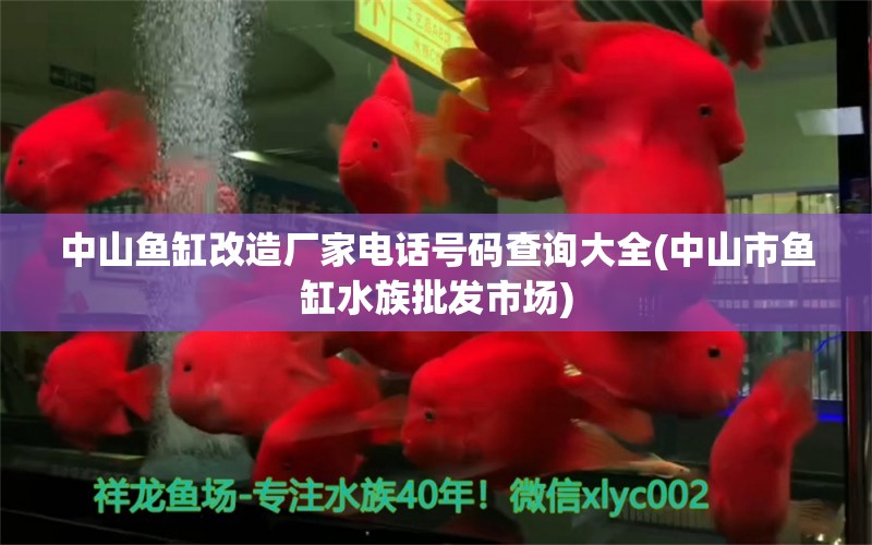 中山鱼缸改造厂家电话号码查询大全(中山市鱼缸水族批发市场)