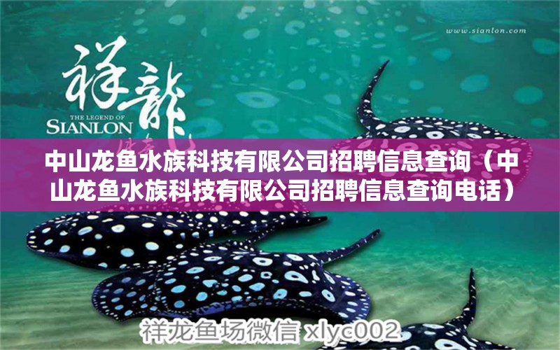 中山龙鱼水族科技有限公司招聘信息查询（中山龙鱼水族科技有限公司招聘信息查询电话） 祥龙水族医院