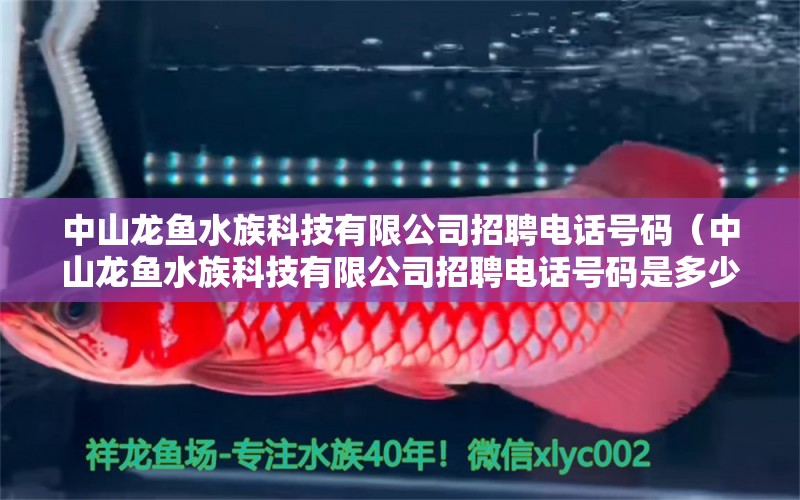 中山龙鱼水族科技有限公司招聘电话号码（中山龙鱼水族科技有限公司招聘电话号码是多少）