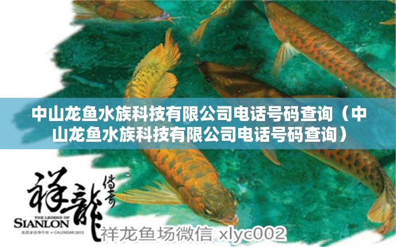 中山龙鱼水族科技有限公司电话号码查询（中山龙鱼水族科技有限公司电话号码查询） 观赏鱼市场（混养鱼）