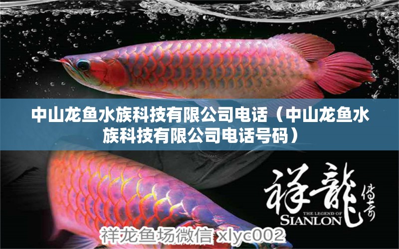 中山龙鱼水族科技有限公司电话（中山龙鱼水族科技有限公司电话号码）