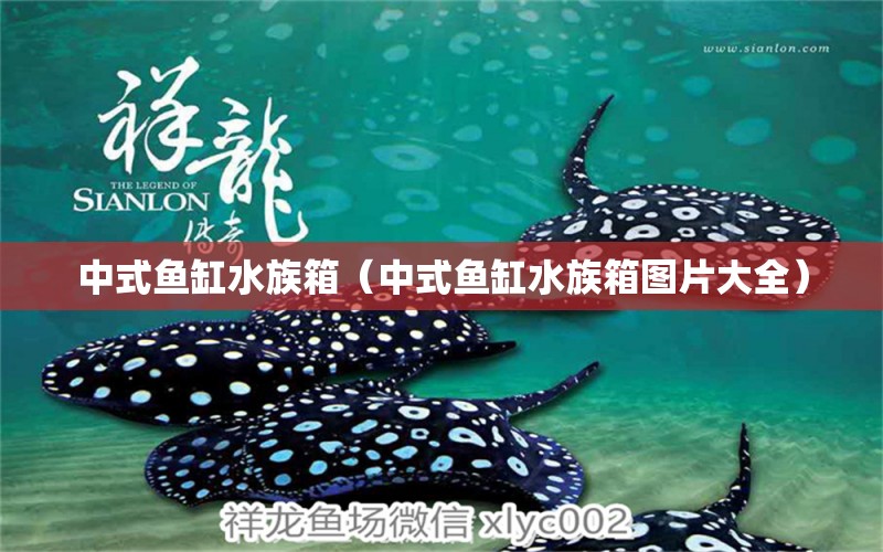 中式鱼缸水族箱（中式鱼缸水族箱图片大全） 鱼缸/水族箱