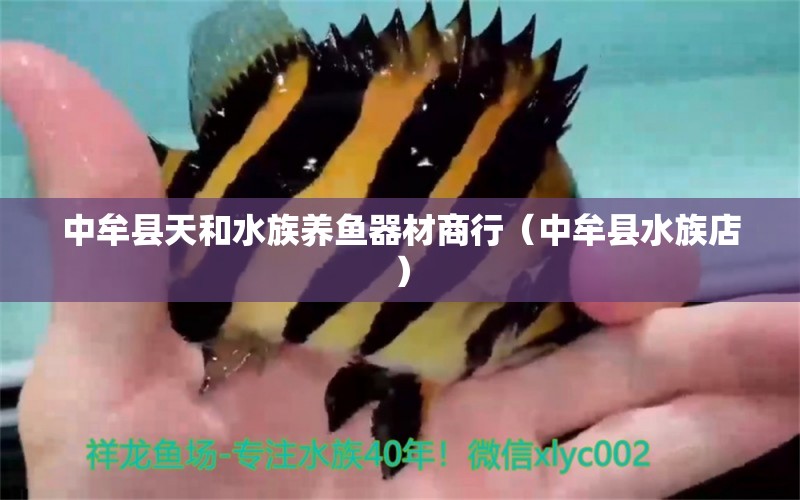 中牟县天和水族养鱼器材商行（中牟县水族店） 全国水族馆企业名录