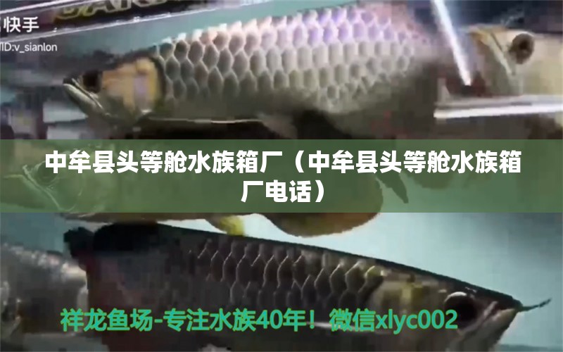 中牟县头等舱水族箱厂（中牟县头等舱水族箱厂电话）