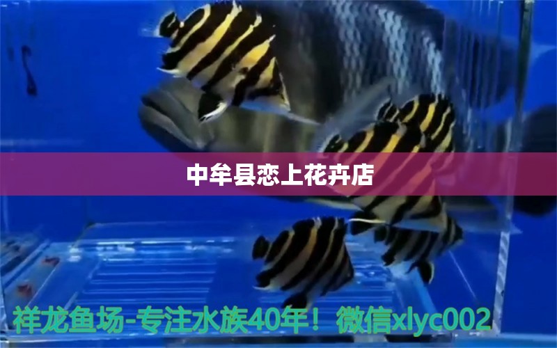 中牟县恋上花卉店 全国水族馆企业名录