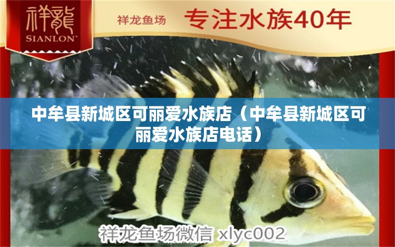 中牟县新城区可丽爱水族店（中牟县新城区可丽爱水族店电话）