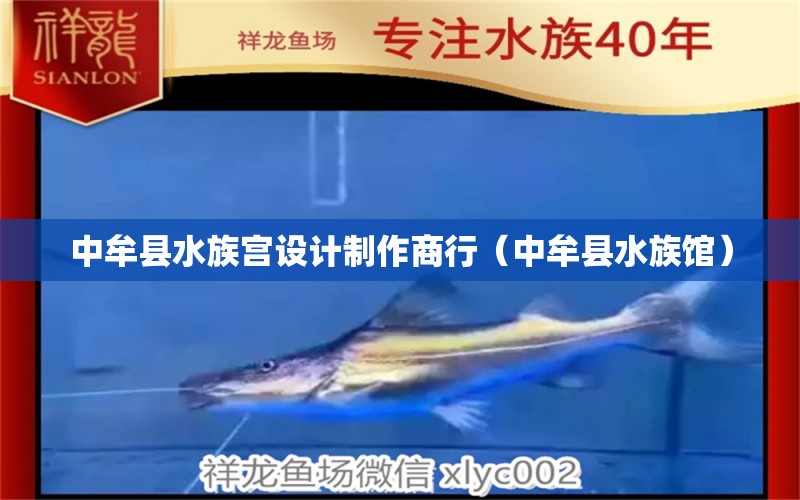 中牟县水族宫设计制作商行（中牟县水族馆）