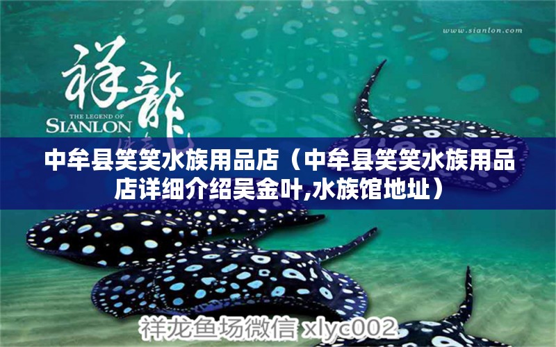 中牟县笑笑水族用品店（中牟县笑笑水族用品店详细介绍吴金叶,水族馆地址） 全国观赏鱼市场 第1张