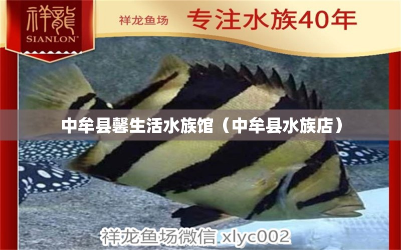 中牟县馨生活水族馆（中牟县水族店） 全国水族馆企业名录