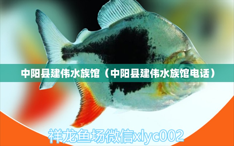 中阳县建伟水族馆（中阳县建伟水族馆电话） 全国水族馆企业名录