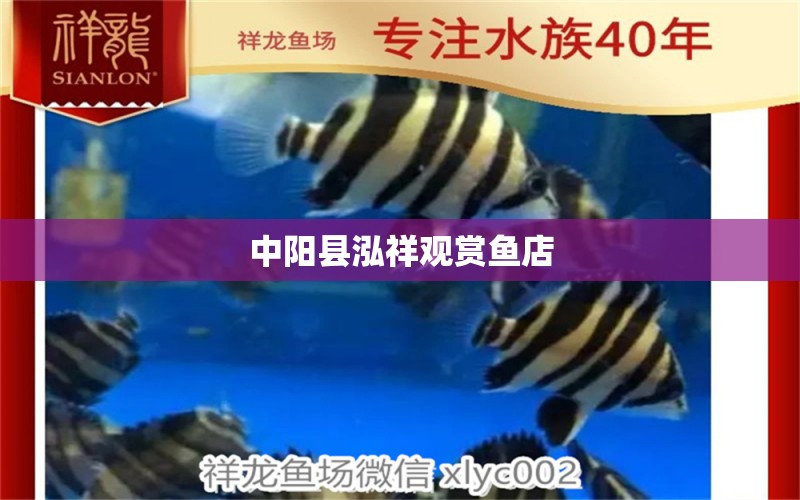 中阳县泓祥观赏鱼店 全国水族馆企业名录