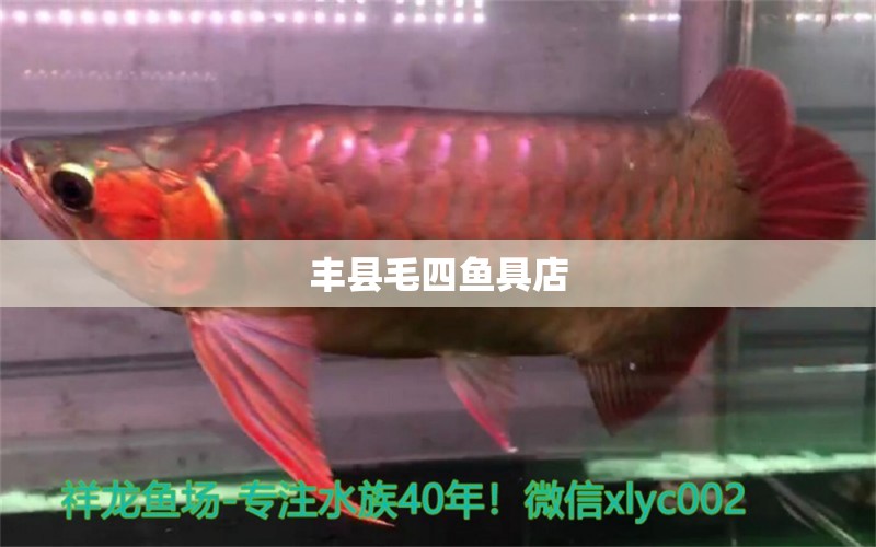 丰县毛四鱼具店 全国水族馆企业名录