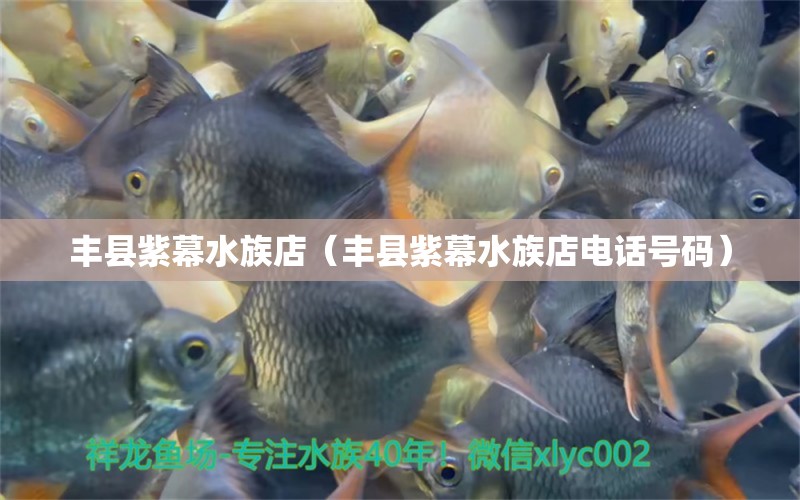 丰县紫幕水族店（丰县紫幕水族店电话号码） 全国水族馆企业名录