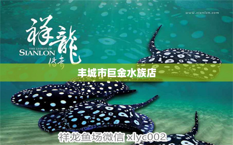 丰城市巨金水族店 全国水族馆企业名录