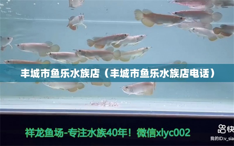 丰城市鱼乐水族店（丰城市鱼乐水族店电话） 全国水族馆企业名录