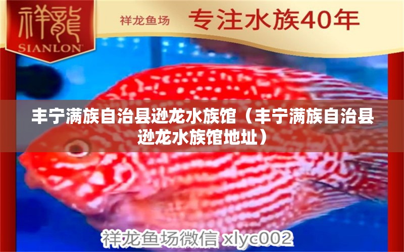 丰宁满族自治县逊龙水族馆（丰宁满族自治县逊龙水族馆地址）