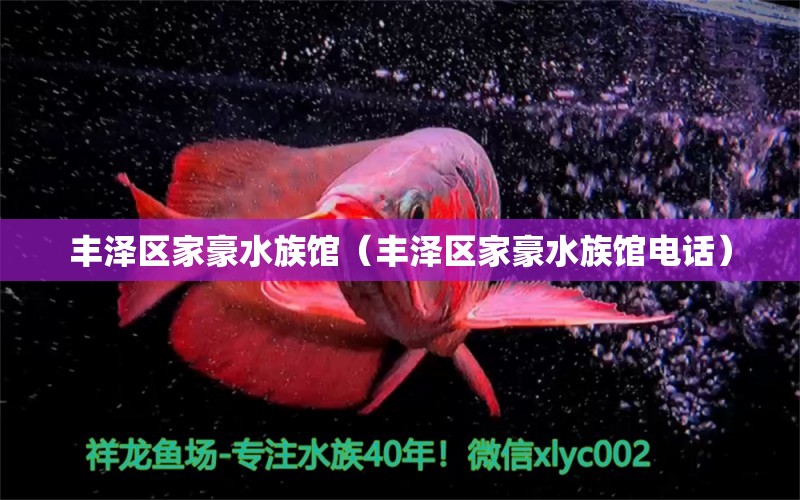 丰泽区家豪水族馆（丰泽区家豪水族馆电话）