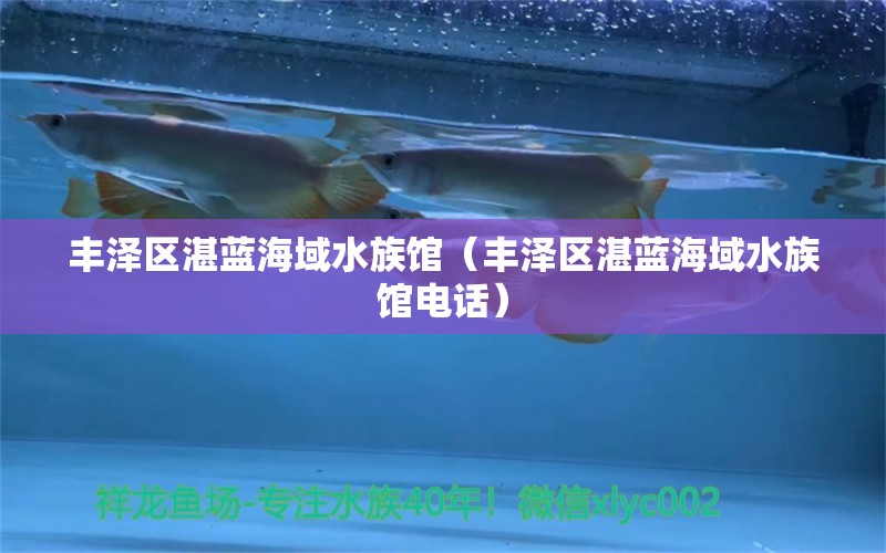 丰泽区湛蓝海域水族馆（丰泽区湛蓝海域水族馆电话）