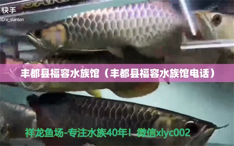 丰都县福容水族馆（丰都县福容水族馆电话）