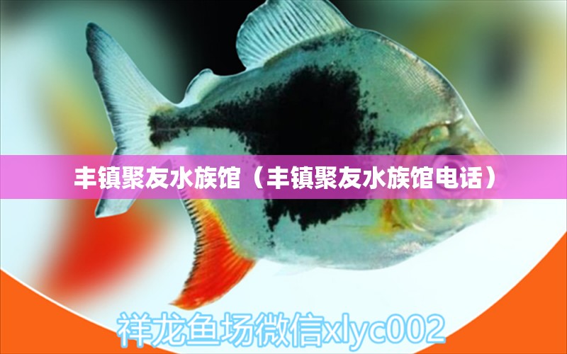 丰镇聚友水族馆（丰镇聚友水族馆电话）